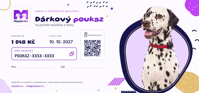 Dárkový poukaz MazelArt, design Hravý memphis s Ozzym