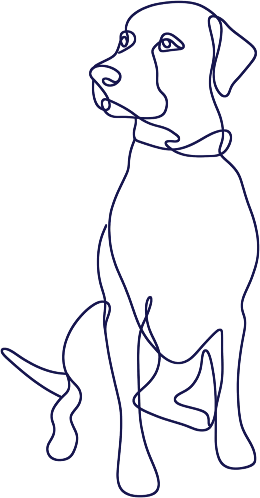 Vizualizace: bílé dámské tričko s malým lineart potiskem psa na hrudi.